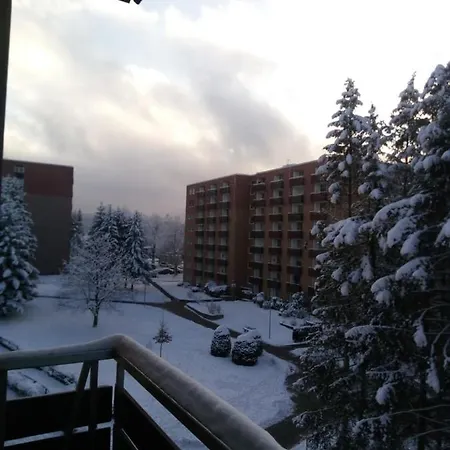 Fewo Eisblume - A52283 Διαμέρισμα Altenau (Lower-Saxony)